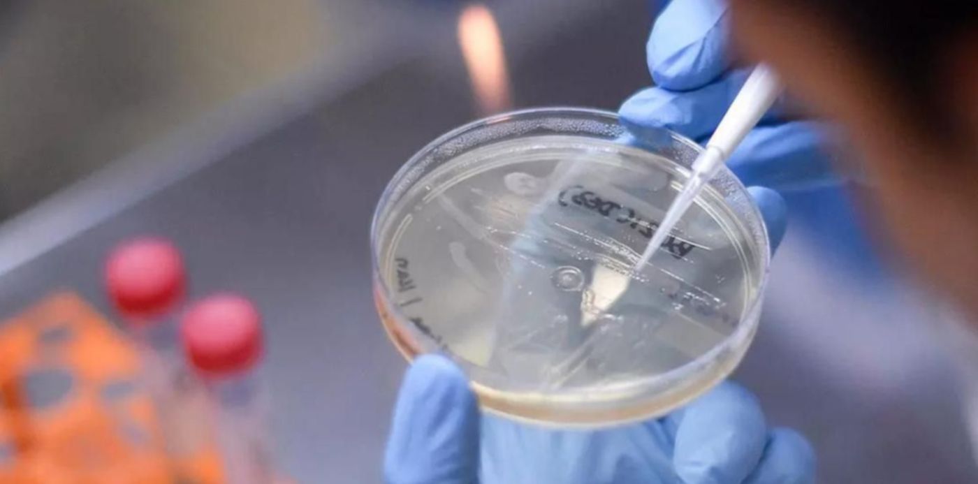 1624303272186.jpg?x=5&y=120&width=1200&height=600&rotate=0&scaleX=1&scaleY=1&ow=1200&oh=800&&cw=1920&ch=950