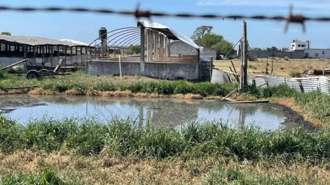 los vecinos de la chancheria del horror inician acciones por dano