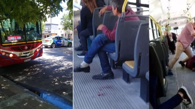 video: el momento del ataque al chofer de un micro de la linea 273