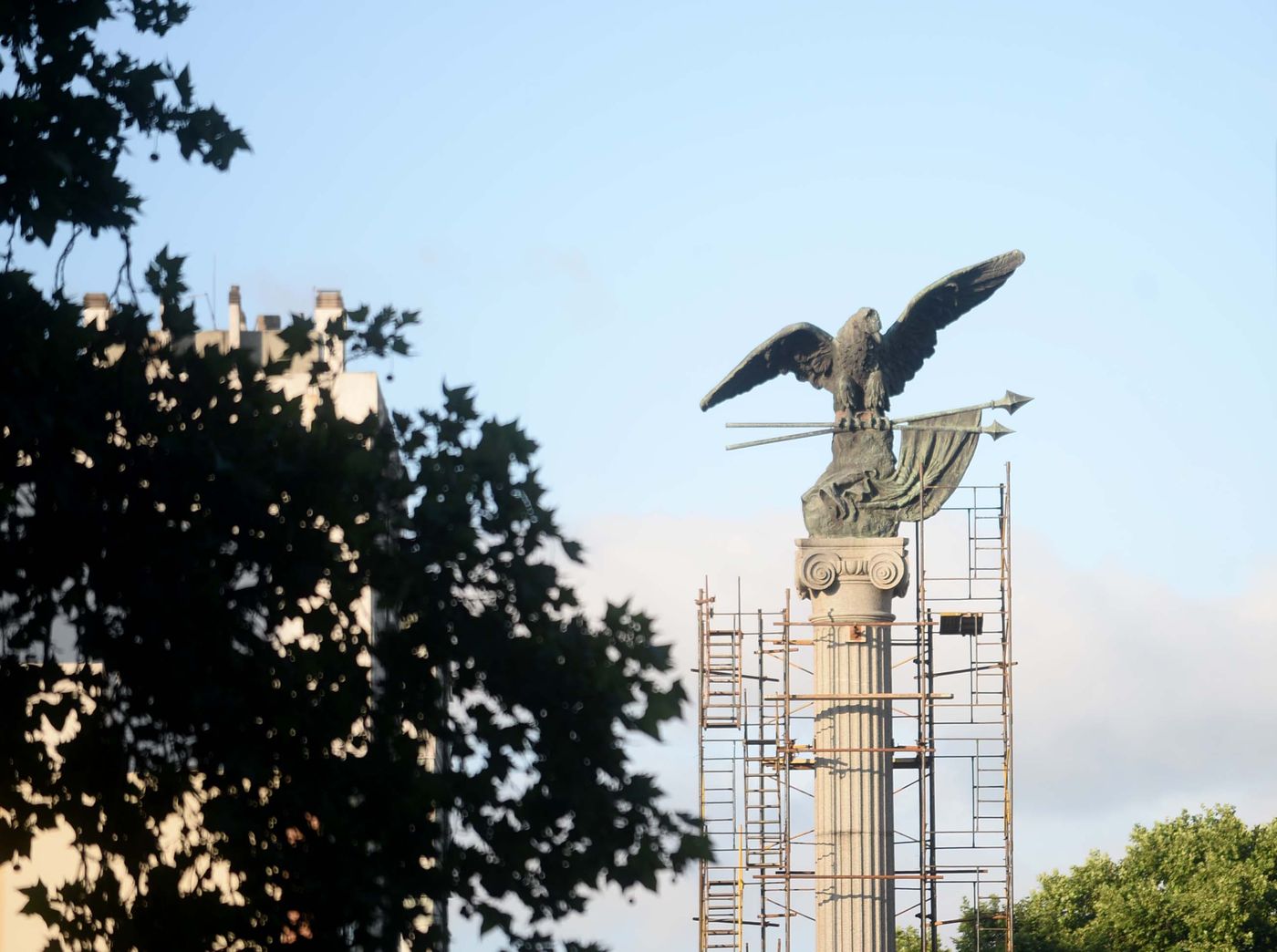 Mudanza águila de Plaza Italia (5).jpg