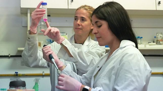 cientificas argentinas identifican una posible via de propagacion del covid prolongado