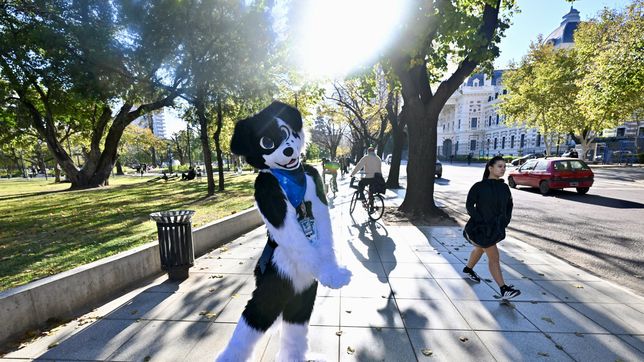 furor por la howlcon 2026 en la plata: ¿cual es la diferencia entre furros y therians?
