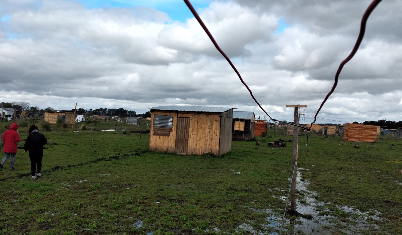 Megatoma de Los Hornos