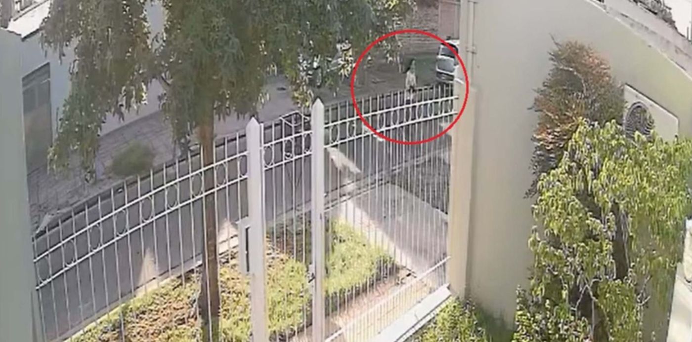 1680894307093.jpg?x=8&y=0&width=1474&height=737&rotate=0&scaleX=1&scaleY=1&ow=1500&oh=742&&cw=1920&ch=950