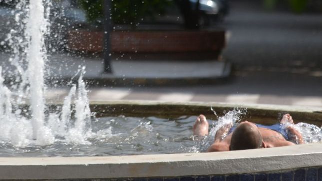 clima en la plata: el fin de semana termina a puro sol, pero con lluvias en el horizonte