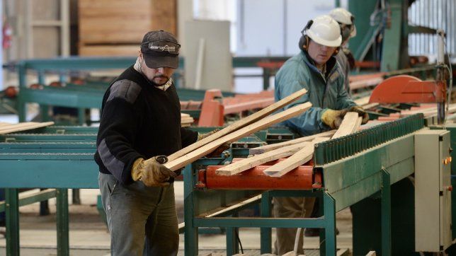 revelan una fuerte caida de la actividad economica en la plata a finales de 2024