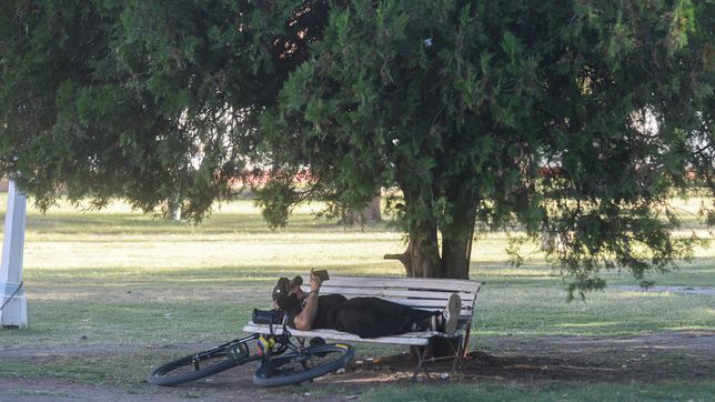 la semana termina con un viernes muy agradable, caluroso y soleado