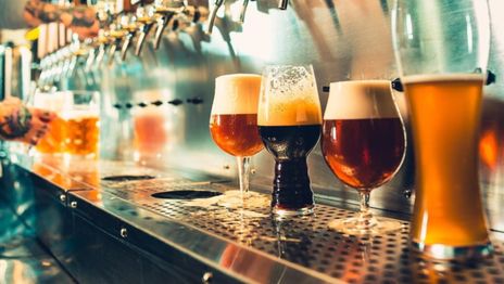 Con más de 100 cervezas, gastronomía y música, vuelve el Festival de la Cultura Cervecera