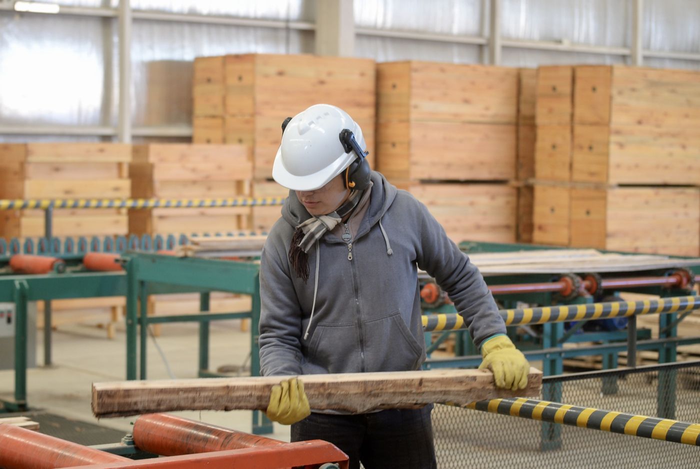 Industria Centro de la madera Maderera (4).jpg