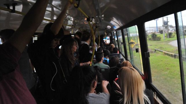 brutal ataque de ladrones a un chofer de la linea 520 en la plata