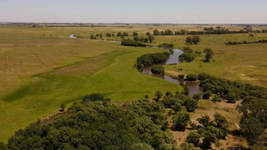 arte, musica y naturaleza en un nuevo festival por el humedal del arroyo el pescado arte, musica y naturaleza en un nuevo festival por el humedal del arroyo el pescado