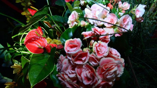 musica y flores, la propuesta de la floreria bozzi para recibir el dia de la madre