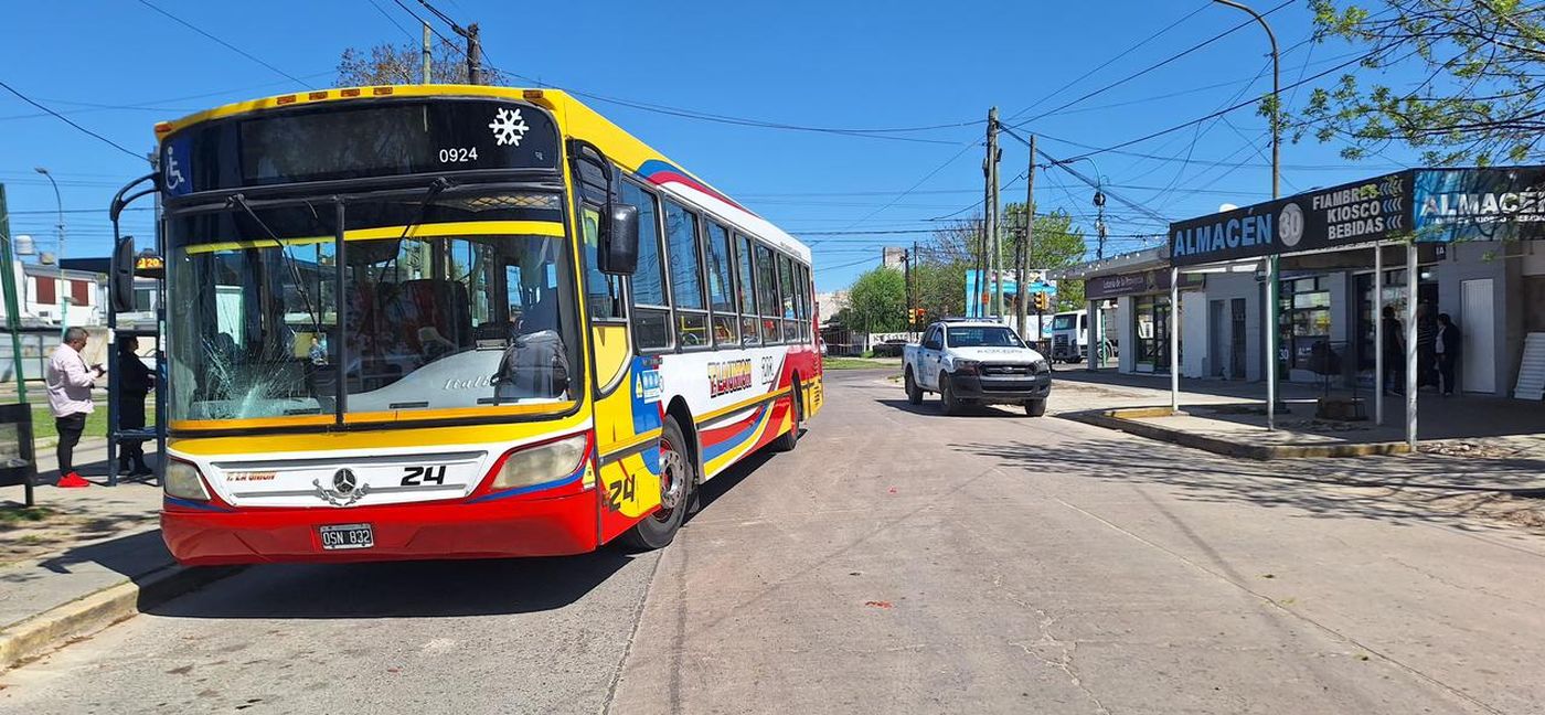 WhatsApp Image 2024-09-24 at 17.56.20.jpeg