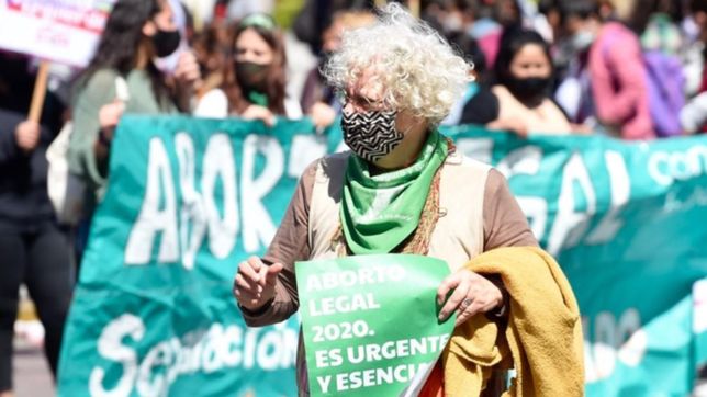 la marea verde copo el centro de la plata para exigir la legalizacion del aborto