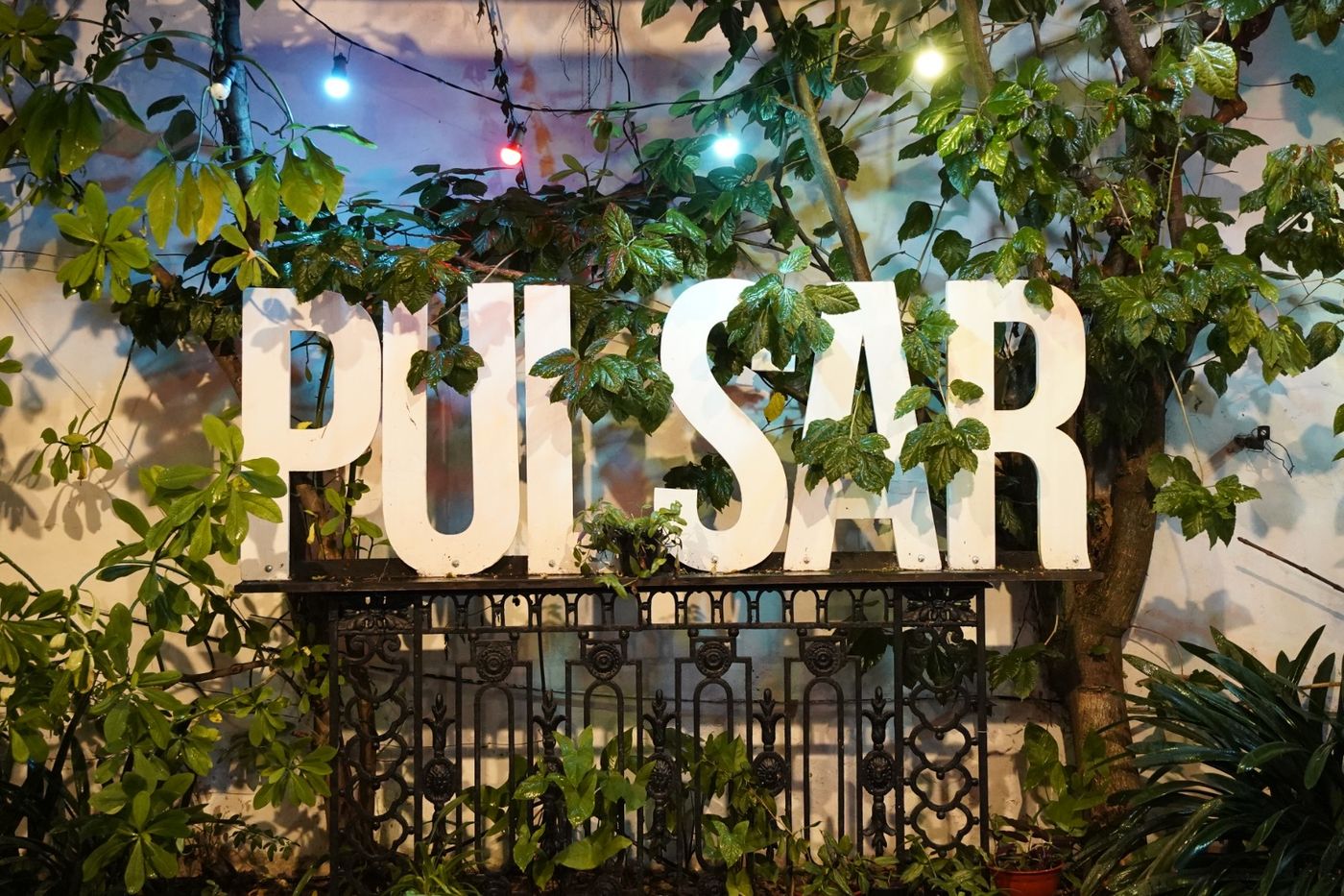 Casa Pulsar 2023 (3).jpeg