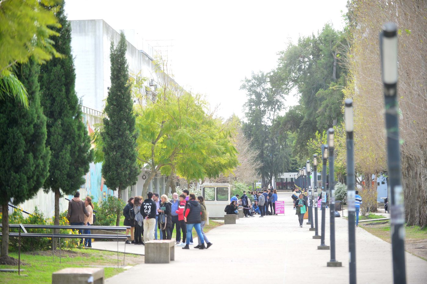 Muerto en la Facultad de Psicología (10).JPG