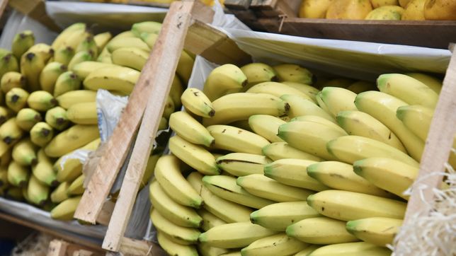 el mercado regional de la plata renovo sus ofertas hasta este jueves 10