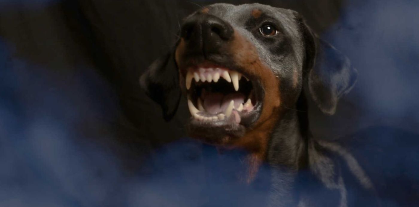 1689611895122.jpg?x=10&y=7&width=1260&height=630&rotate=0&scaleX=1&scaleY=1&ow=1280&oh=720&&cw=1920&ch=950