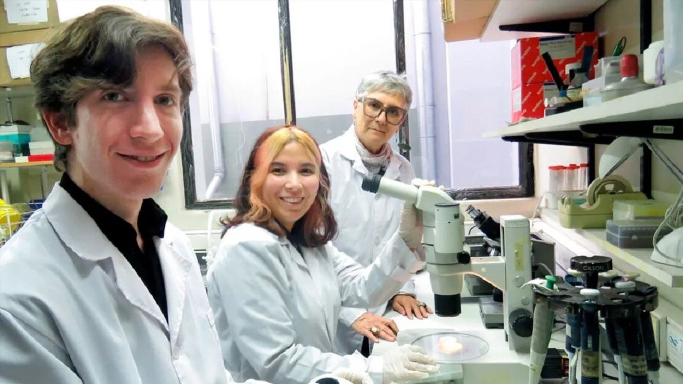 Los cient&iacute;ficos del CONICET Gustavo Luis Ver&oacute;n, Ania Manjon y M&oacute;nica Vazquez-Levin estudiaron 55.000 muestras de semen