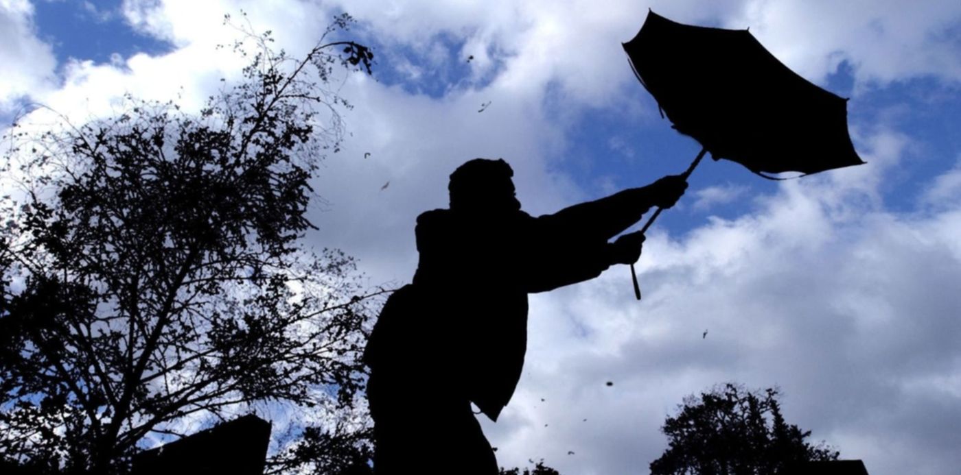 1608410025839.jpg?x=12&y=117&width=1495&height=748&rotate=0&scaleX=1&scaleY=1&ow=1500&oh=984&&cw=1920&ch=950