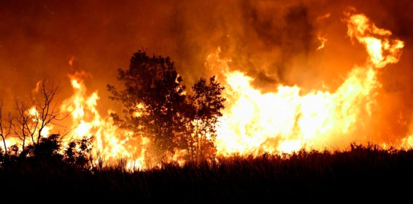 1615572422494.jpg?x=7&y=199&width=1486&height=743&rotate=0&scaleX=1&scaleY=1&ow=1500&oh=999&&cw=1920&ch=950