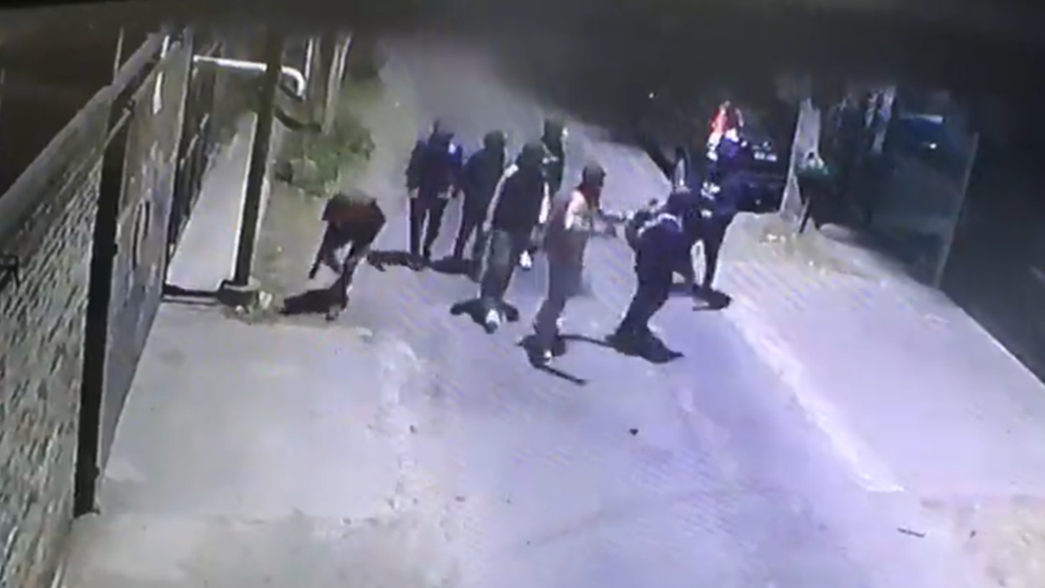 VIDEO: Un grupo de chicos apedreó un auto estacionado y escapó, solo por diversión