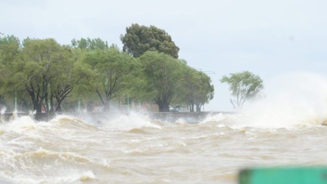 absa desmintio la contaminacion del rio de la plata con azufre de ypf