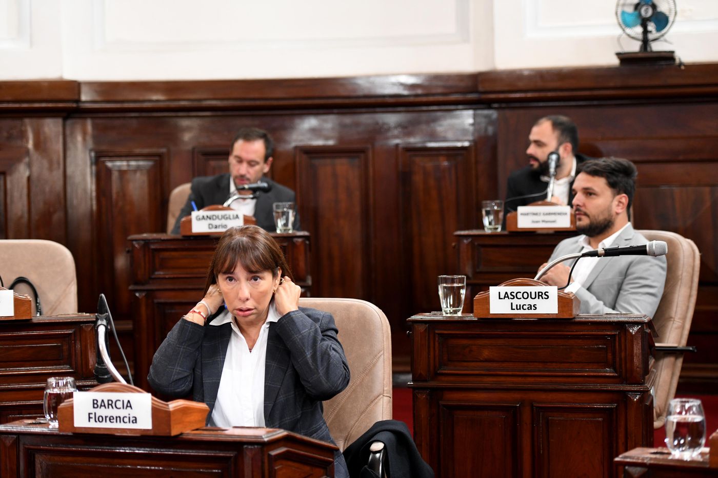 concejo deliberante Florencia Barcia Lucas Lascours Ganduglia y Garmendia.JPG