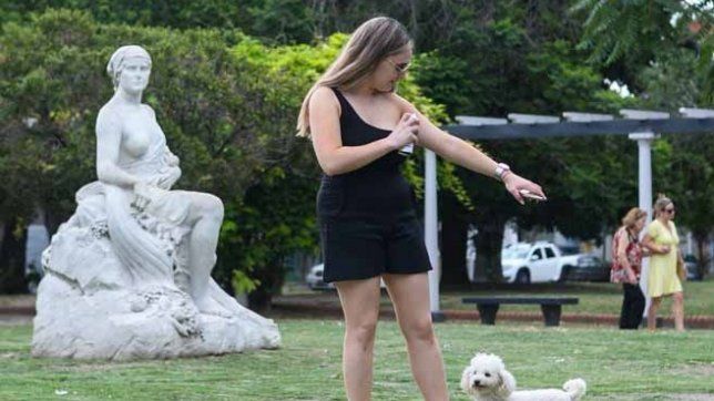 en la provincia advierten que esta por comenzar el peor momento del brote de dengue