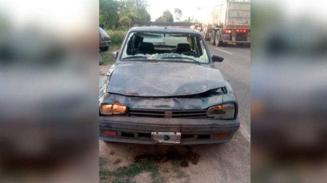 al borde de la tragedia: se le cruzo una vaca en la plata, la choco y se salvo de milagro
