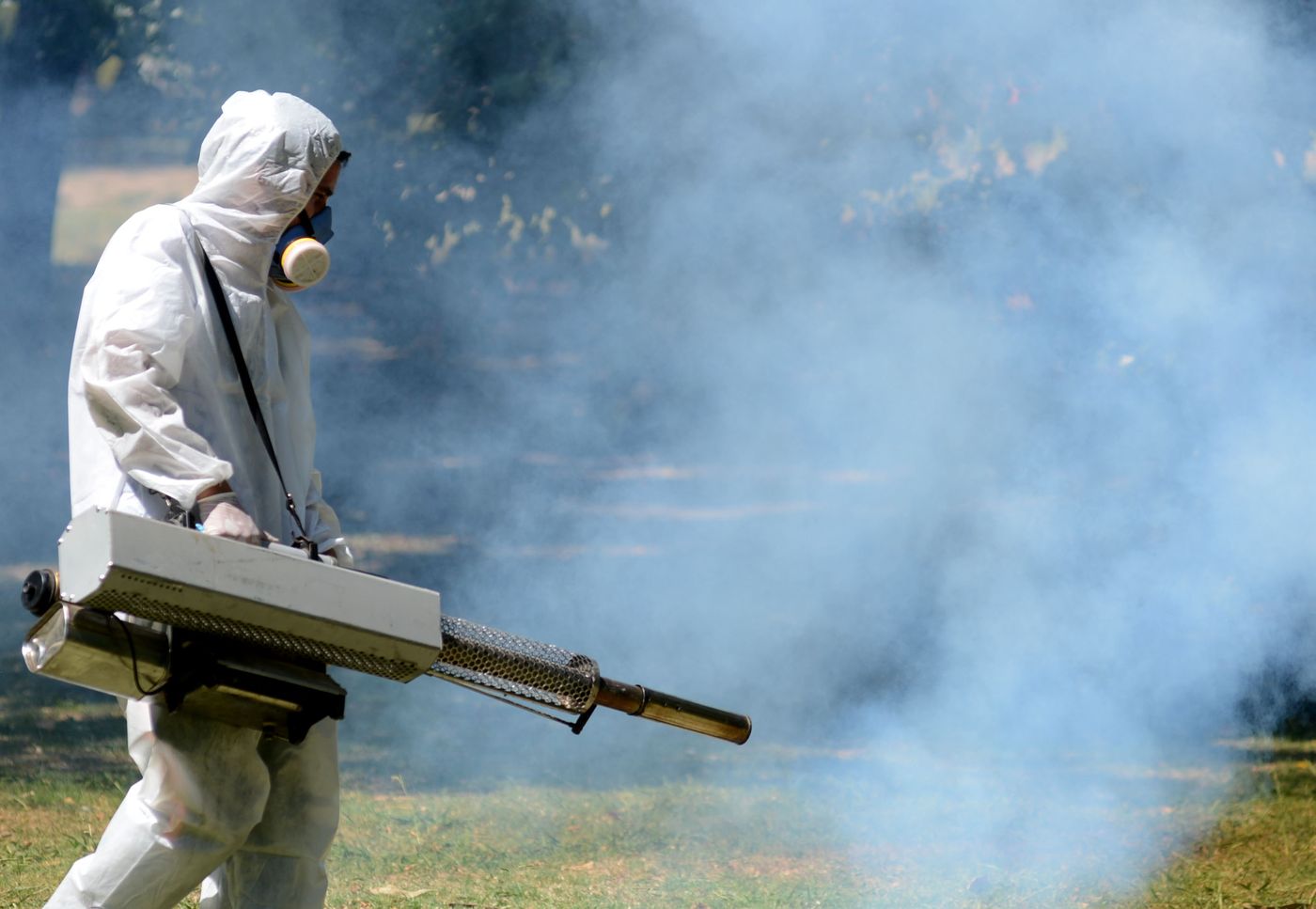 Fumigación mosquitos (5).JPG