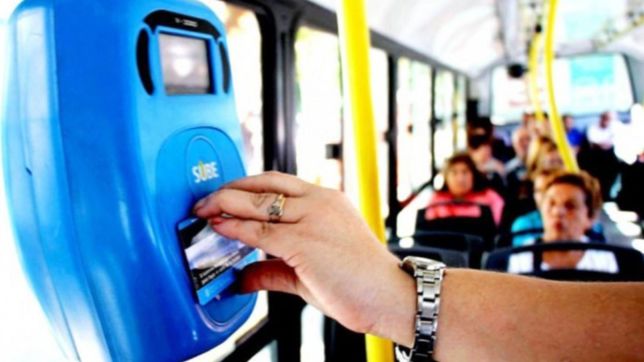 tras la actualizacion del sitio, vuelve a funcionar la web de la sube