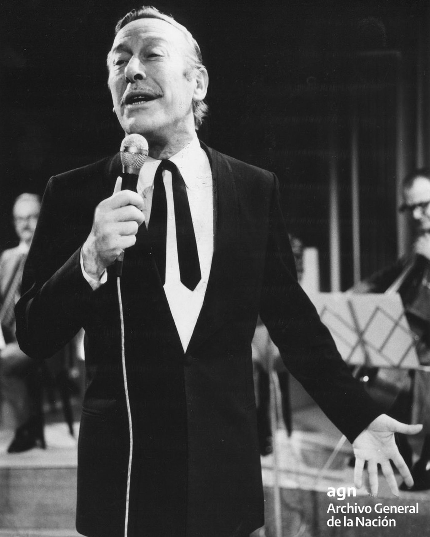 Polski Gowiec w swej okazałości, legenda tanga i kultury argentyńskiej (AGN). Polski Gowiec w swej okazałości, legenda tanga i kultury argentyńskiej (AGN).