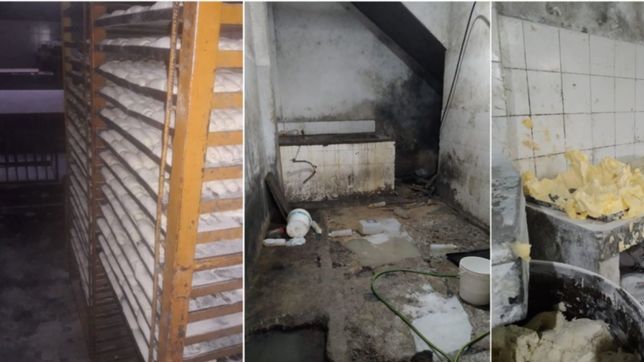 ratas, telaranas y mugre: clausuraron una panificadora que abastecia locales de la plata