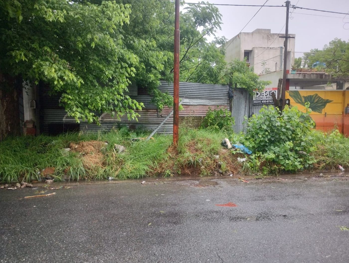 WhatsApp Image 2024-11-04 at 15.17.39.jpeg