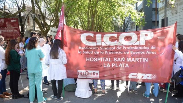 en la segunda jornada de paro, medicos marcharon por el centro platense