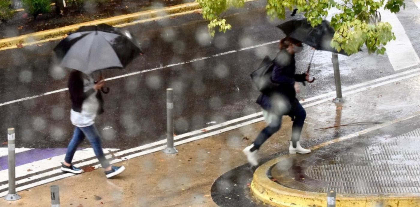 1612189531006.jpeg?x=3&y=145&width=1274&height=636&rotate=0&scaleX=1&scaleY=1&ow=1280&oh=804&&cw=1920&ch=950