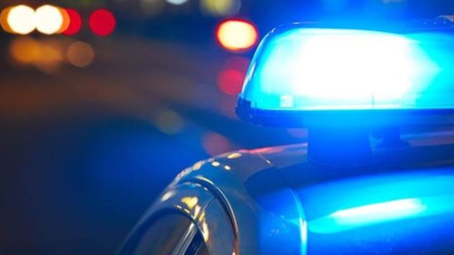 una mama termino detenida por atacar a los policias que se llevaban a su hijo