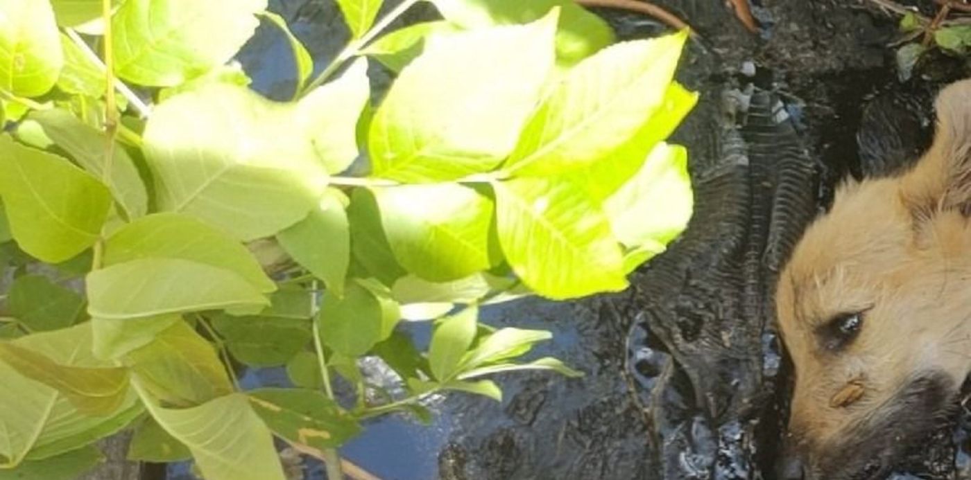 1637452604741.jpeg?&cw=1920&ch=950