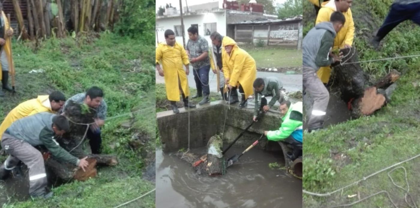 1570886758473.jpg?scaleX=1&scaleY=1&ow=1500&x=6&y=25&width=1487&height=744&rotate=0&oh=937&&cw=1920&ch=950