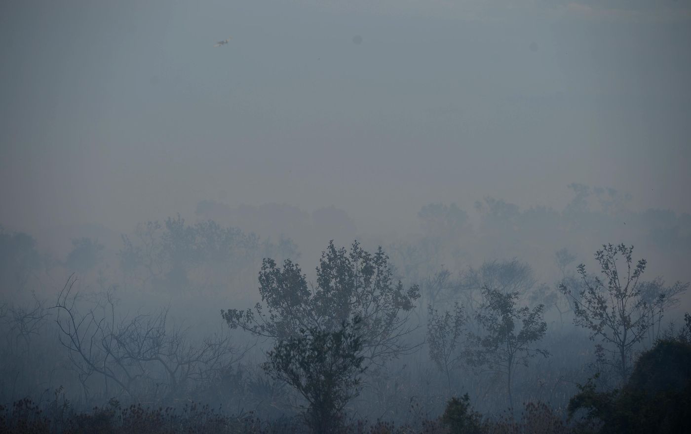 Incendios en Reserva Punta Lara Reserva Natural 27 (3).jpg