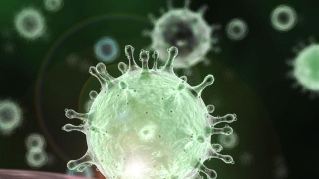 absa buscara moleculas de coronavirus en los restos cloacales