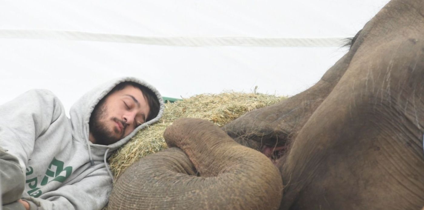 1528195854680.jpg?y=76&height=748&rotate=0&scaleX=1&x=0&width=1496&scaleY=1&ow=1500&oh=997&&cw=1920&ch=950