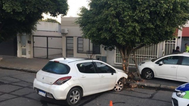 susto en 19 y 38: se quedo dormido, choco con otro auto y termino incrustado en un arbol
