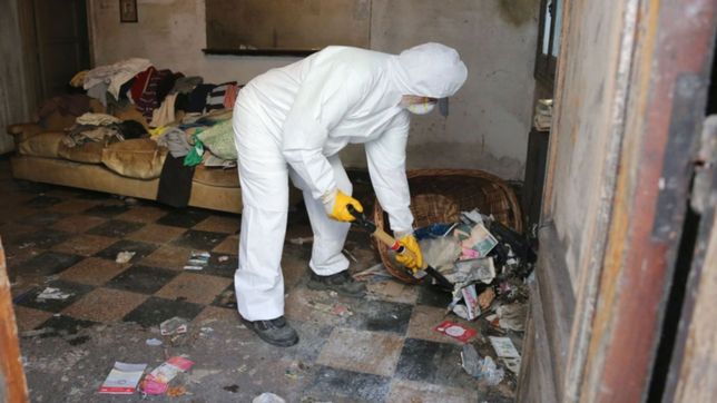 asi son los controles de foco para prevenir brotes de hantavirus en la plata