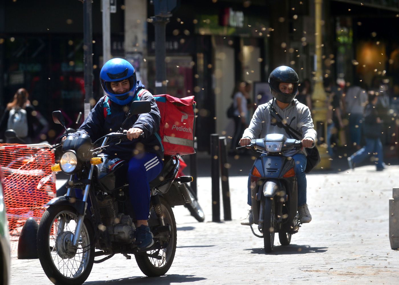 Enjambre de abejas (1).JPG