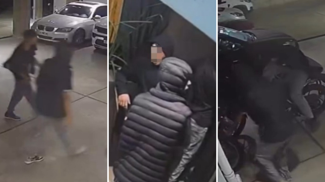 una banda que tiene a maltraer a un barrio de la plata quedo grabada entrando a un edificio