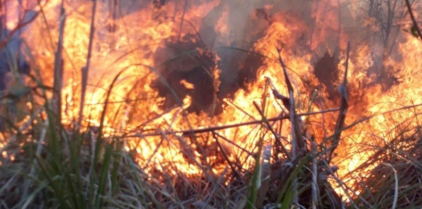 1536509851442.jpg?rotate=0&scaleX=1&ow=900&oh=1200&x=14&width=872&height=436&y=356&scaleY=1&&cw=1920&ch=950