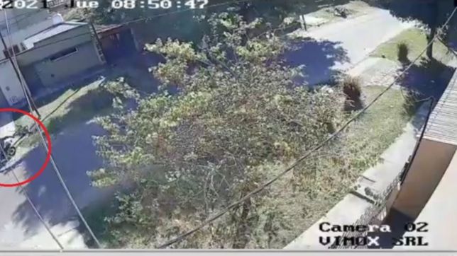 ¿como esta la mujer a la que le arrancaron el bolso y termino tirada en una calle?