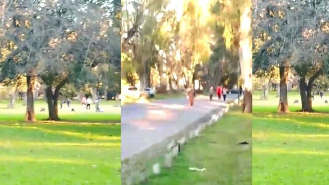 video: partido de futbol, mateada y runners en el bosque de la plata en plena cuarentena